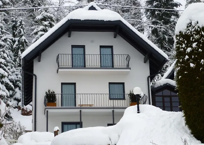 Apartment Kronig Pörtschach am Wörthersee